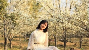 Mùa hoa lê ở Hồng Thái Mùa hoa lê ở Hồng Thái