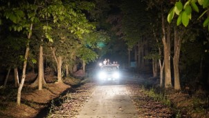 Ngắm thú ăn đêm trong rừng Nam Cát Tiên Ngắm thú ăn đêm trong rừng Nam Cát Tiên