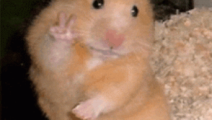 Facebook sập: Không chỉ người dùng, doanh nghiệp cũng lao đao Facebook sập: Không chỉ người dùng, doanh nghiệp cũng lao đao